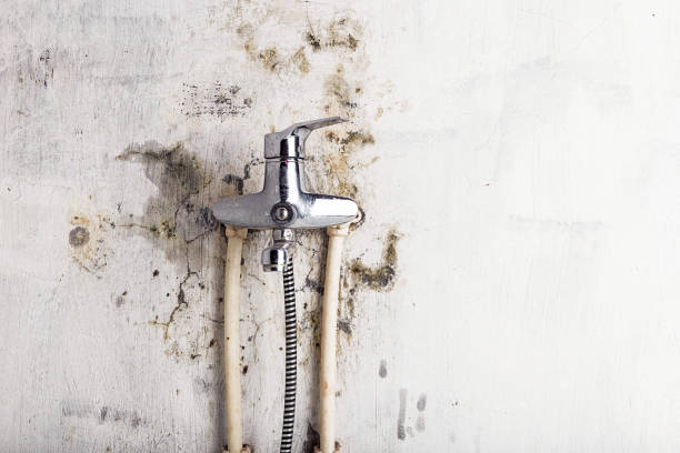 Mold Removal Process in Vancleave, MS