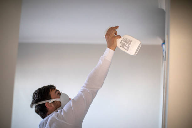 Best Mold Removal Process  in Vancleave, MS