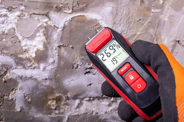 Best Residential Mold Removal  in Vancleave, MS