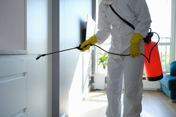 Best Mold Testing  in Vancleave, MS